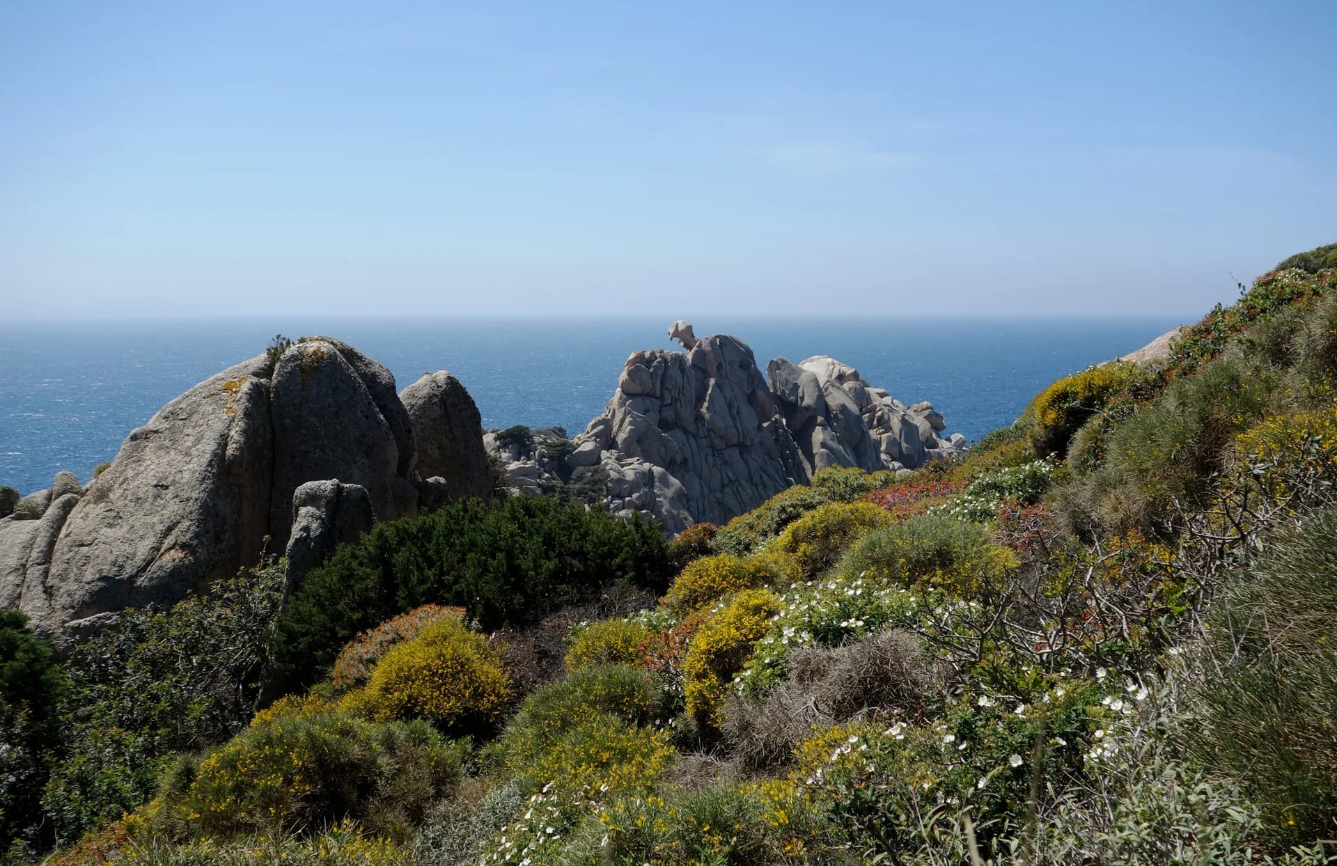 uploads 2020 07 10 Capo Testa 20