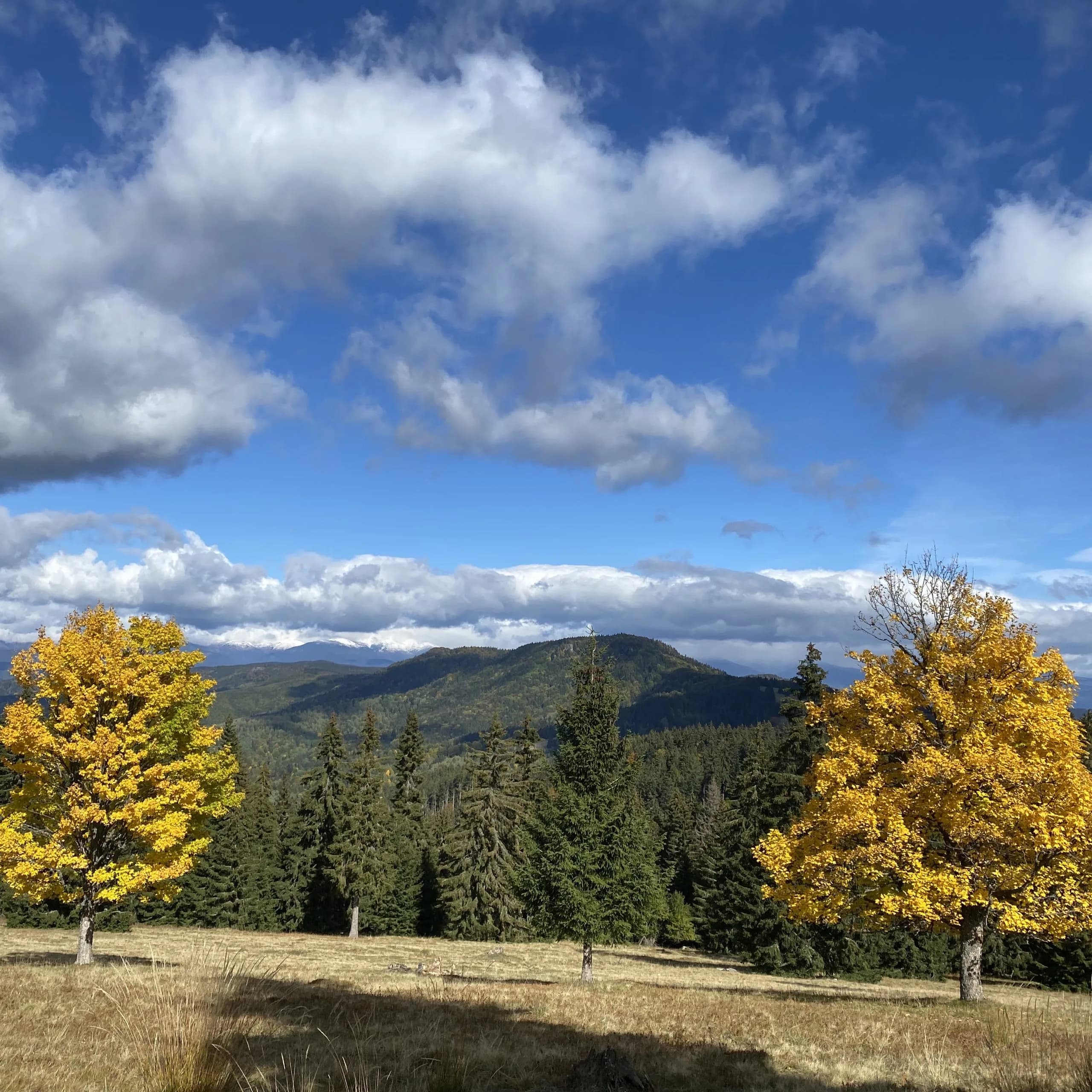 uploads 2020 07 IMG 6664 Kopie scaled
