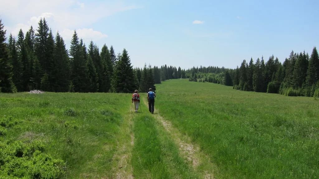 uploads 2020 07 Polana 1