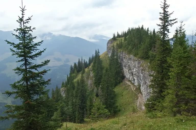 Nízke Tatry — Bergkamm mit Wäldern, Slowakei