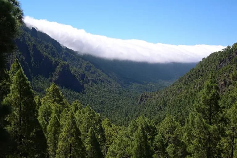La Palma — Landschaft